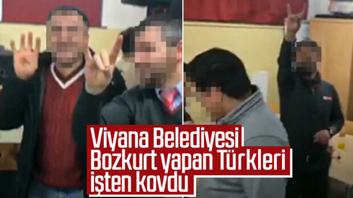 Avusturya Bozkurt işareti yapan Türk şoförleri işten kovdu
