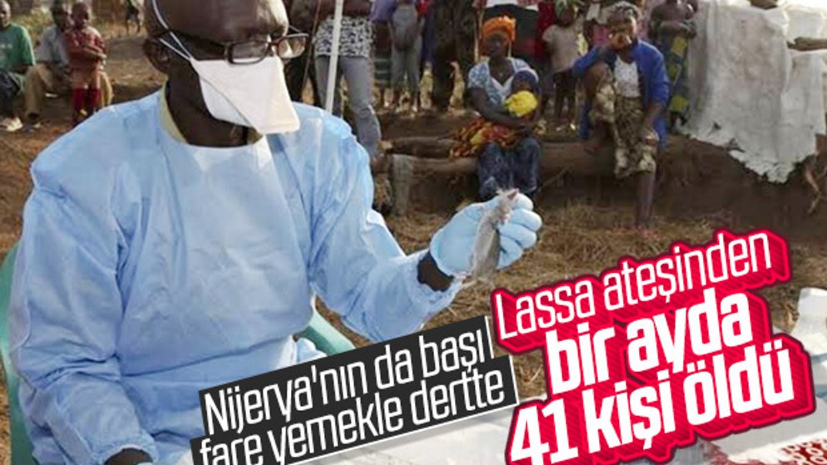 Nijerya'nın uğraştığı hastalık: Lassa ateşi