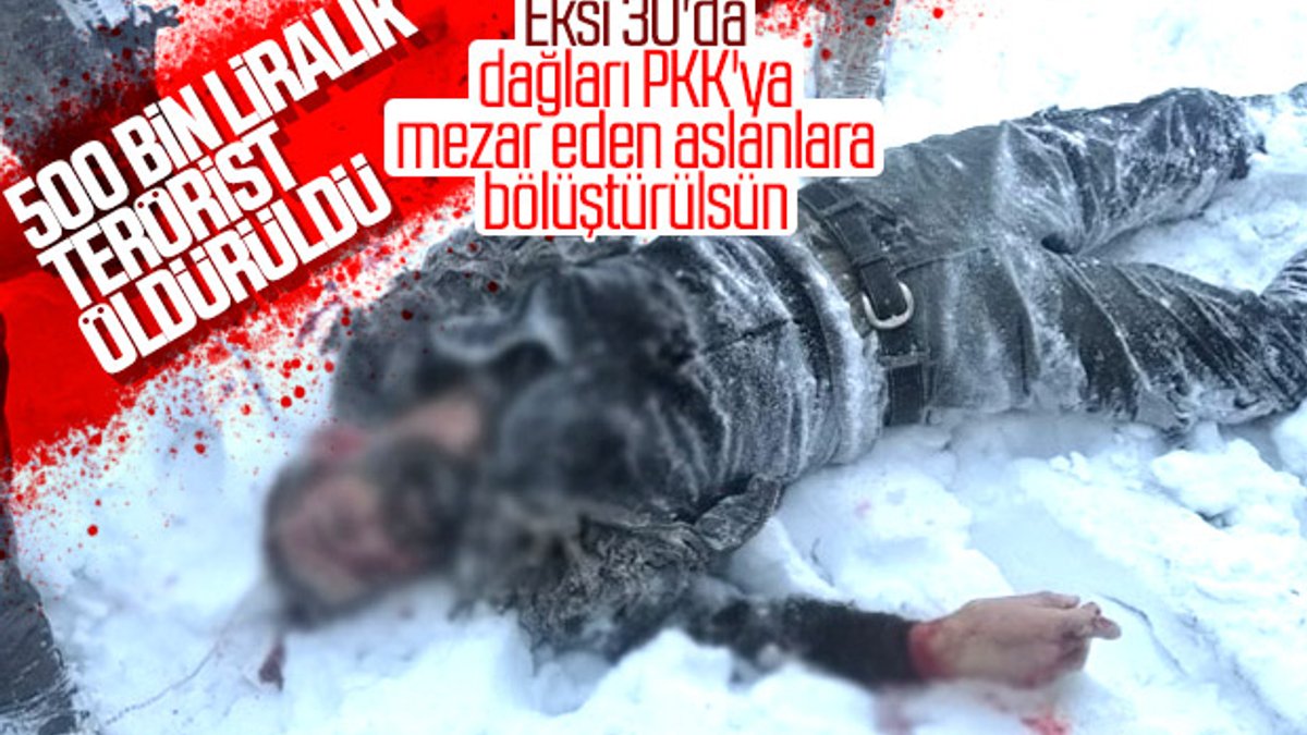 Gri kategorideki terörist Erzurum'da öldürüldü