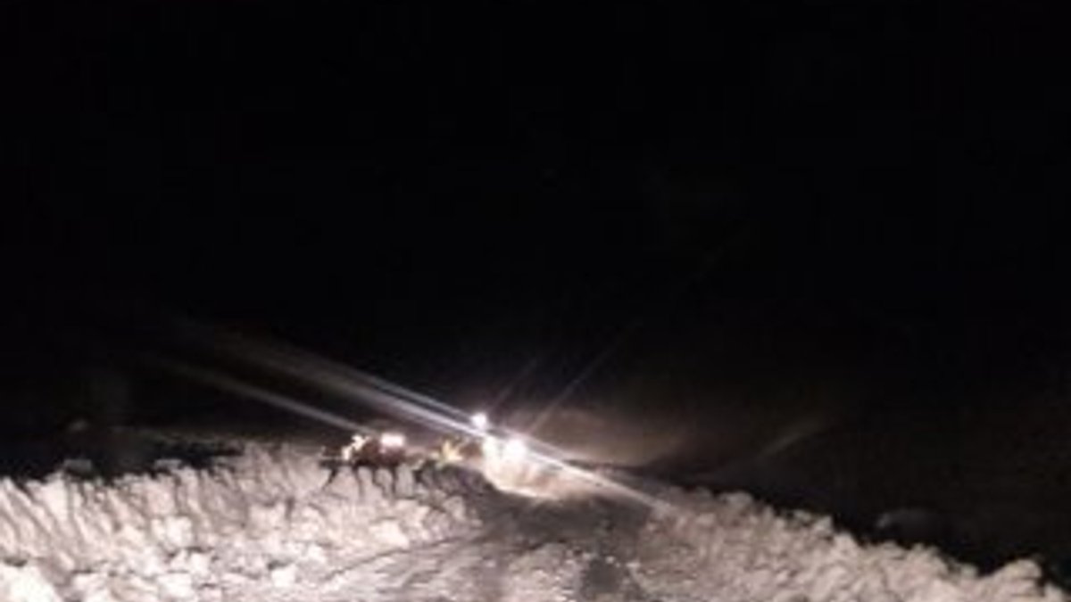 Siirt'te 30 köy yolu, kar nedeniyle kapandı