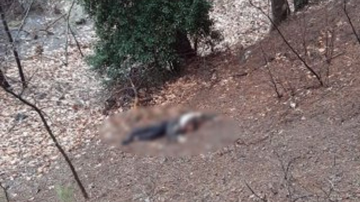 Adana'da kumalığı kabul etmeyen kadın öldürüldü