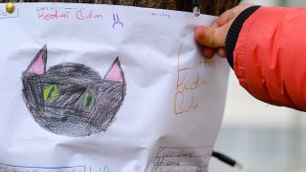Kaybolan kedisini çizdiği resimlerle arıyor