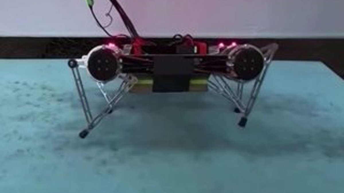 Araştırmacılar, kendi kendine yürümeyi öğrenen robot üretti