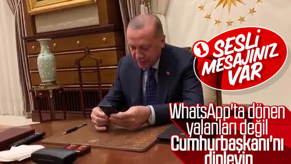 Erdoğan'dan koronavirüse karşı vatandaşlara sesli mesaj