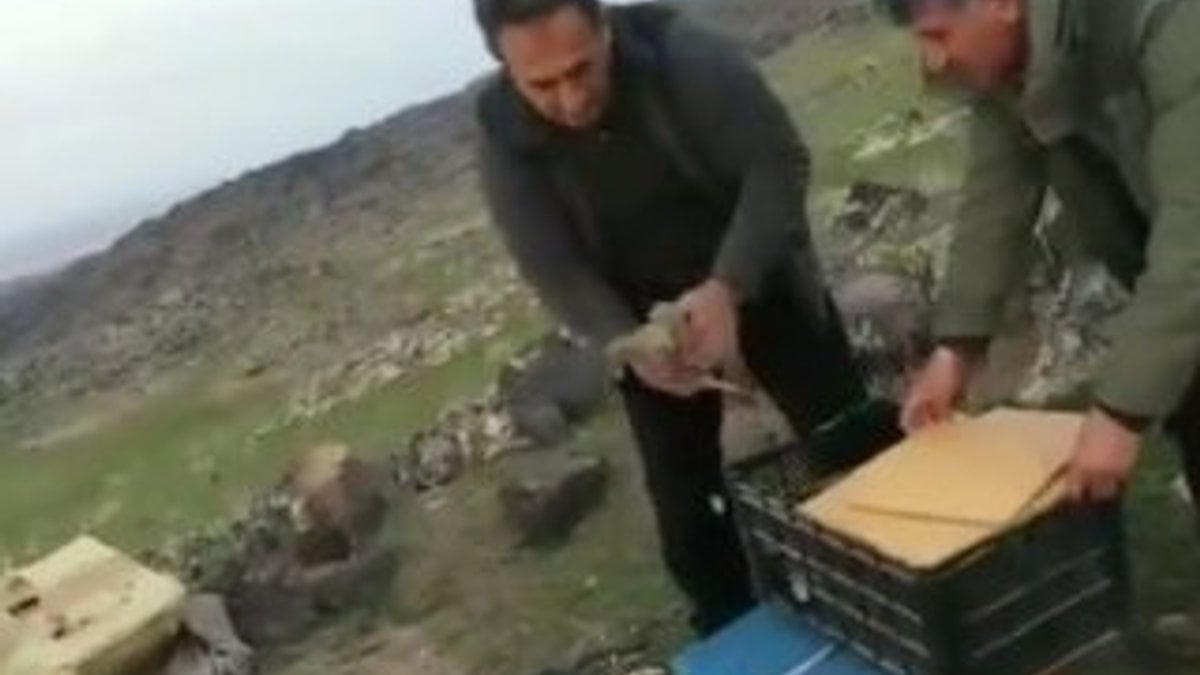 Iğdır'da canlı mühre ile keklik avına 64 bin lira ceza