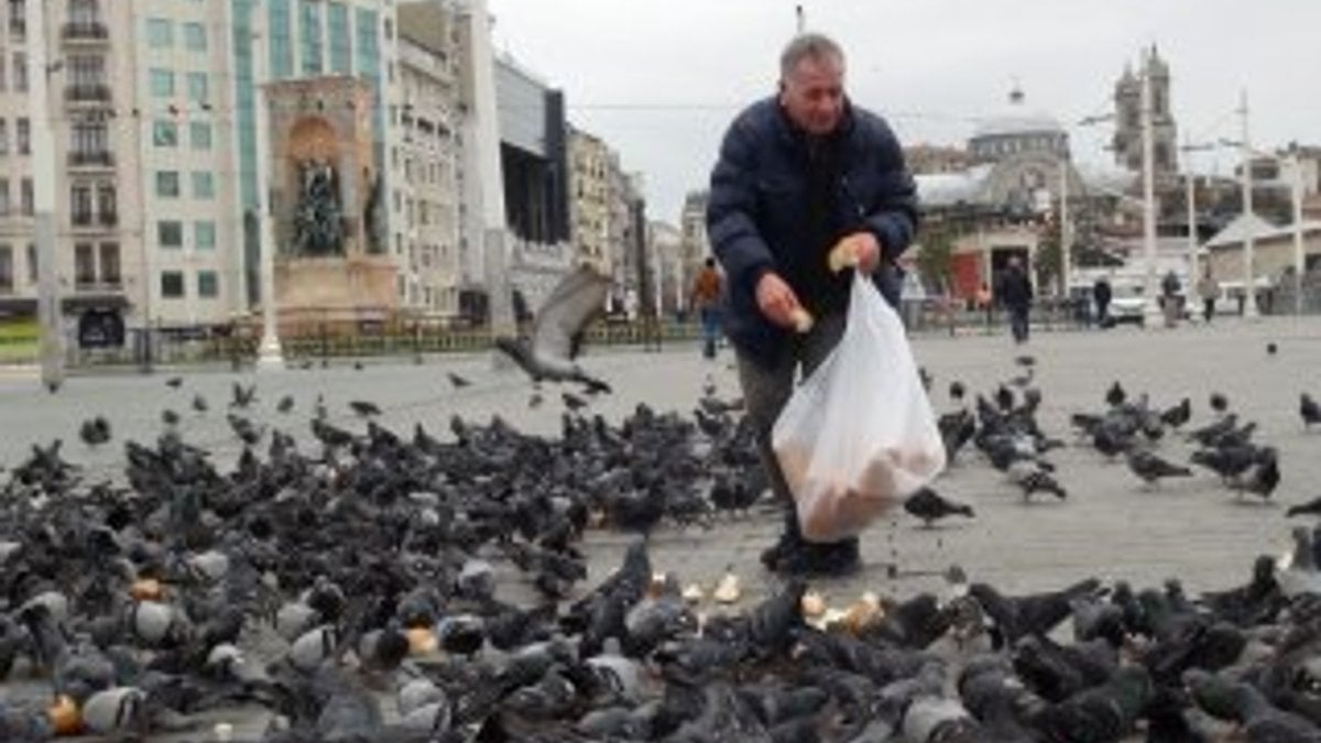 Taksim Meydanı'nda aç kalan kuşları besledi