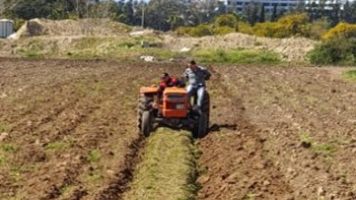 Antalya'da yaşlı adamın tarlasını jandarma sürdü