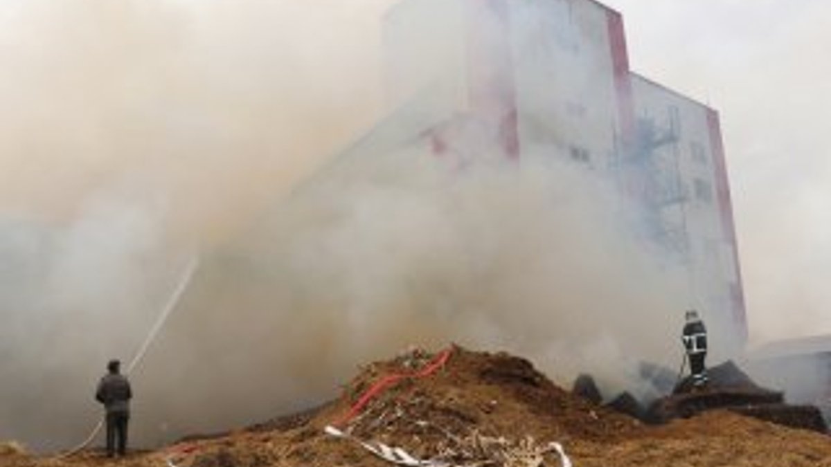 Adana'da pamuk yağı fabrikasında yangın çıktı