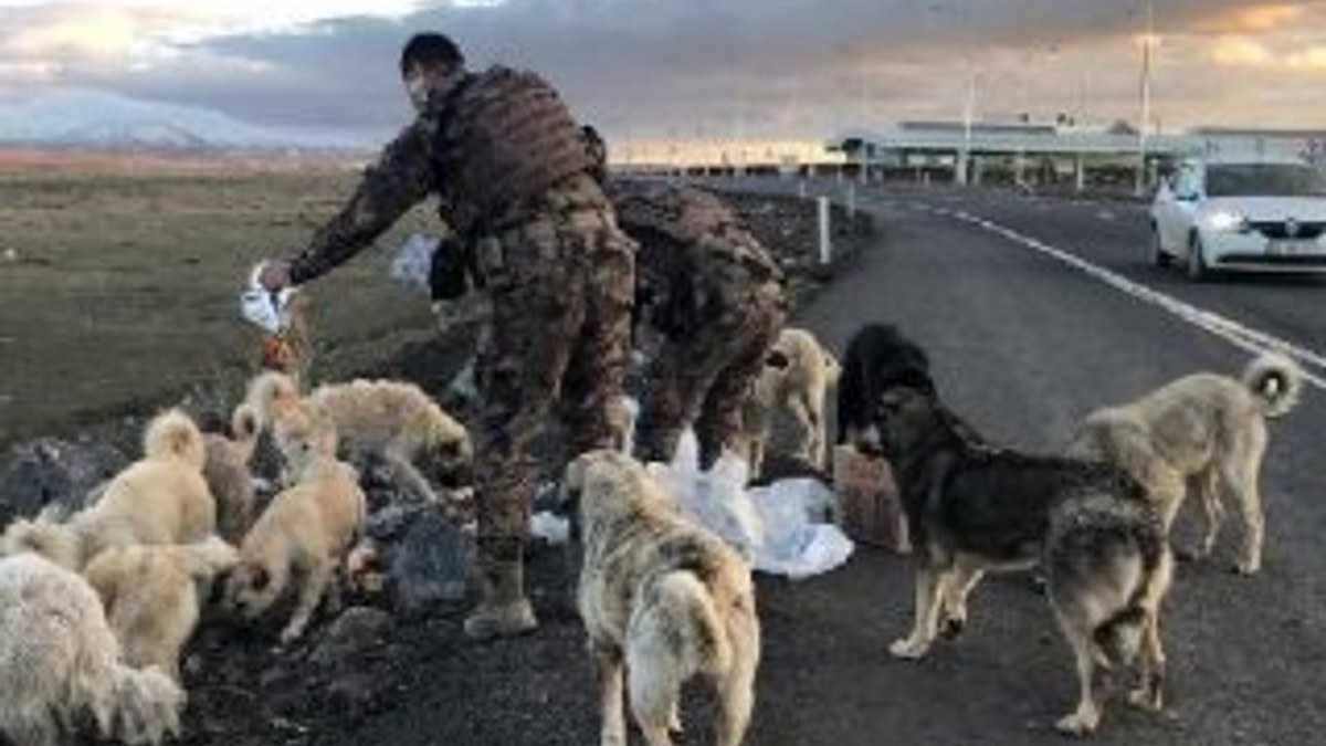 Polisler kendi yiyecekleriyle köpekleri besledi