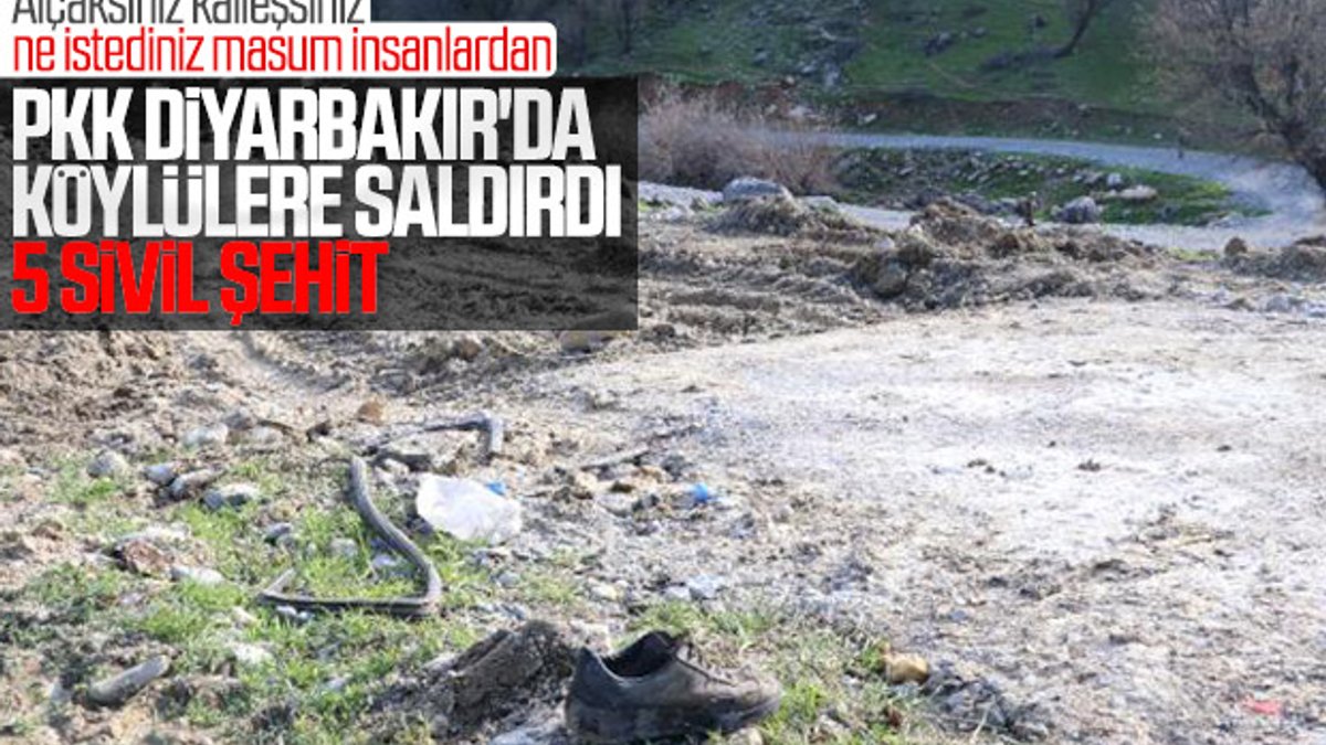 Diyarbakır'da PKK'lı teröristler köylülere saldırdı: 5 şehit