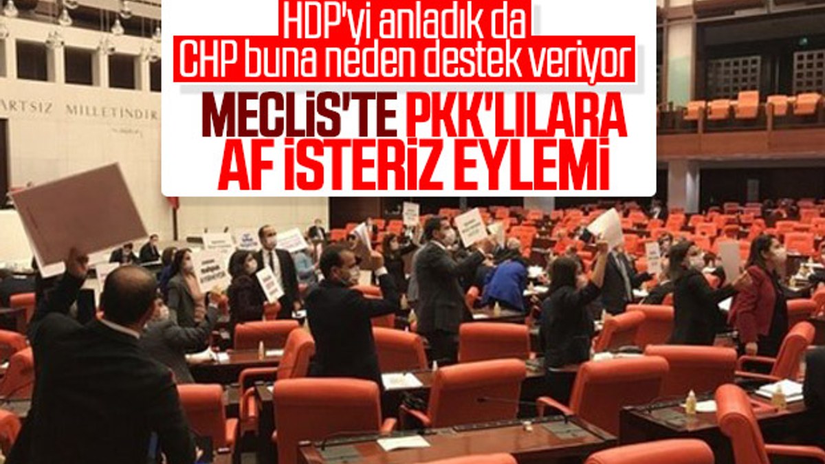 HDP'liler Meclis'te infaz yasasını protesto etti