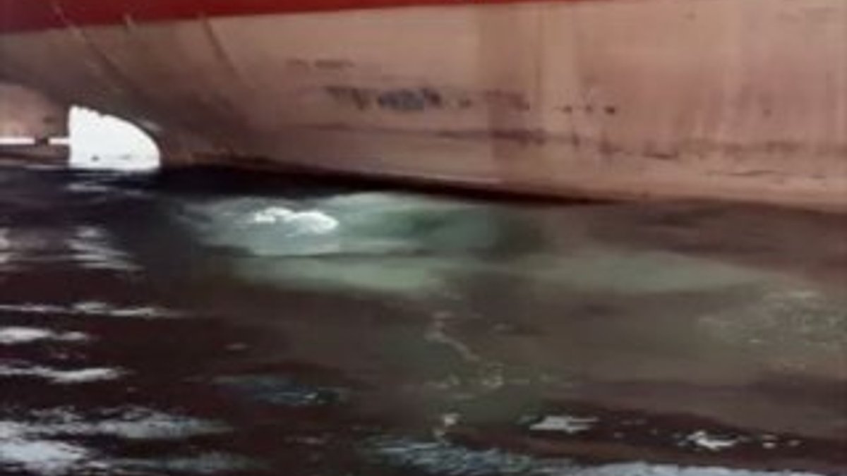 Boğaz'a evsel atık su deşarj eden gemiye rekor ceza