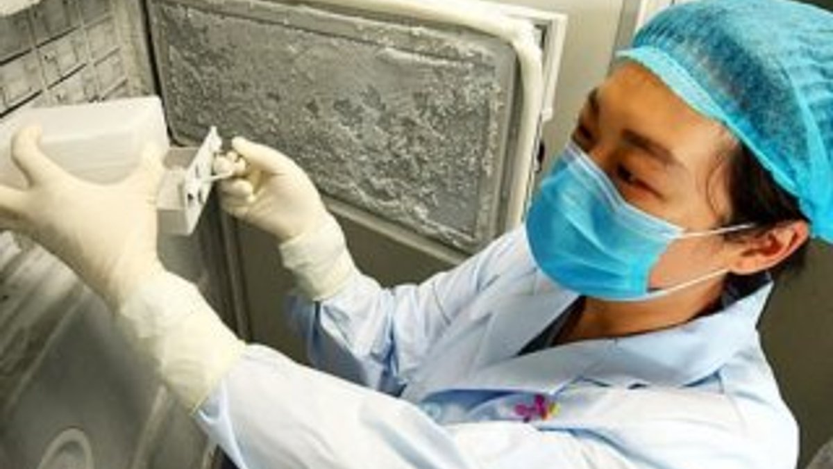 Vuhan'da 1500 virüsün saklandığını gösteren fotoğraflar