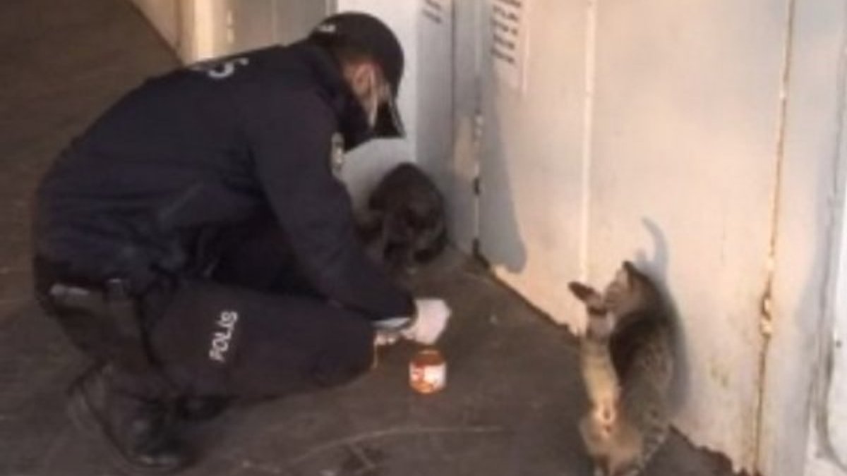 Polis memuru, hayvan sevgisiyle görenleri duygulandırdı