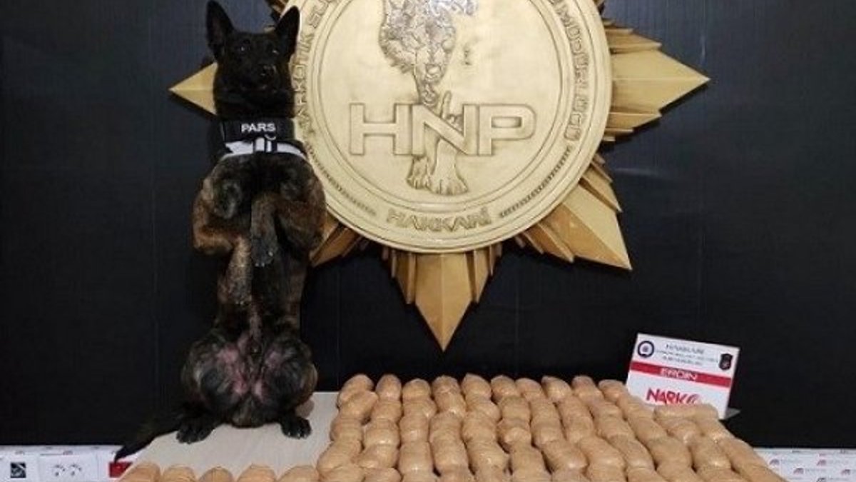 Hakkari'de narkotik köpeği Pars, 62 kilo eroin buldu