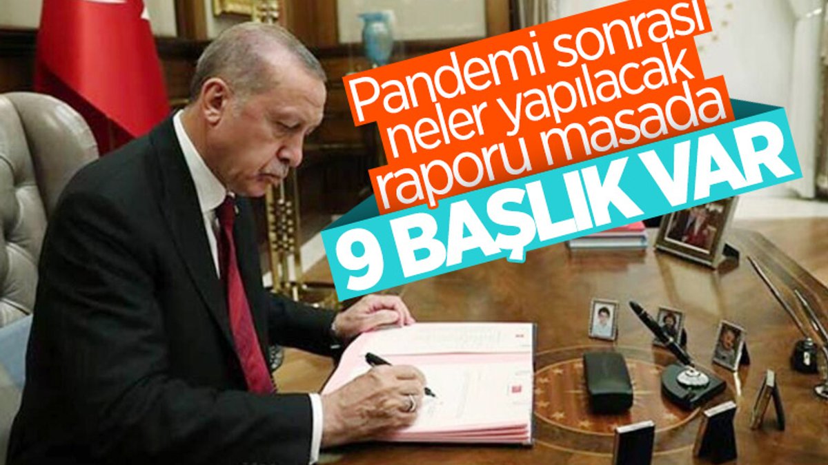 Erdoğan'a normale dönüşte tedbirler hakkında rapor