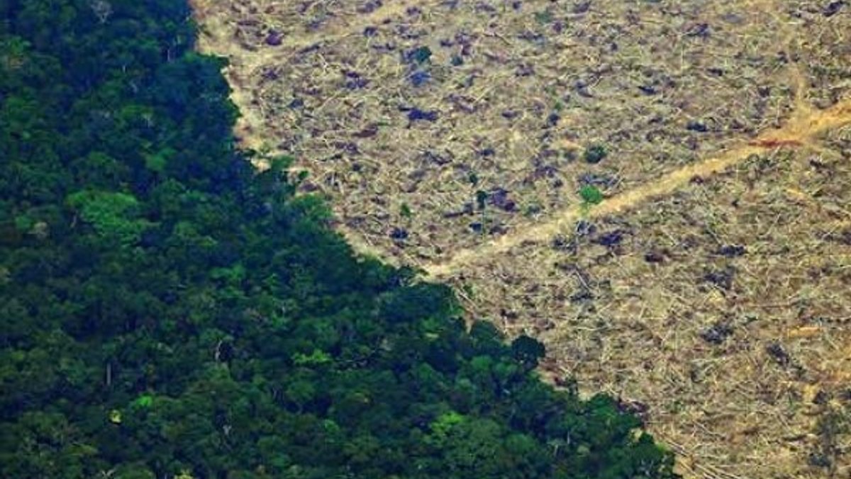 Amazon'daki tahribat, yeni salgınları tetikleyebilir
