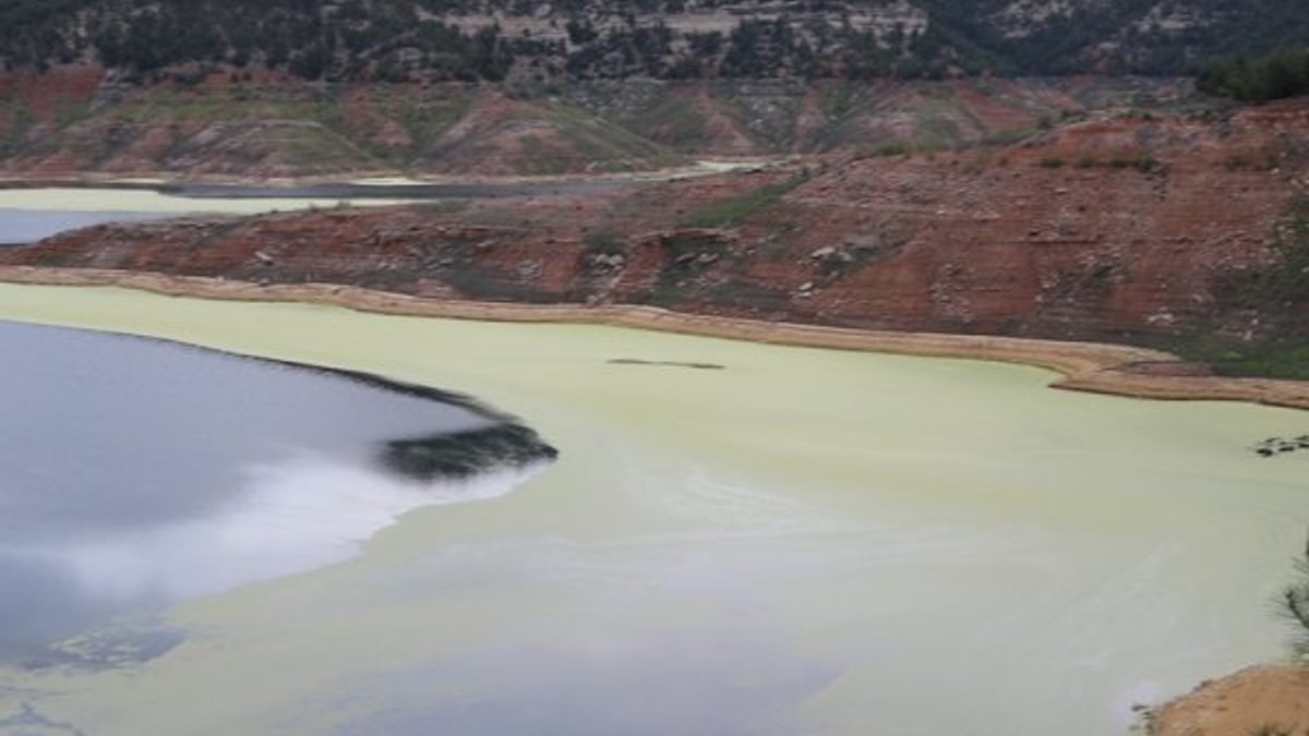 Alg patlaması baraj gölünün rengini değiştirdi