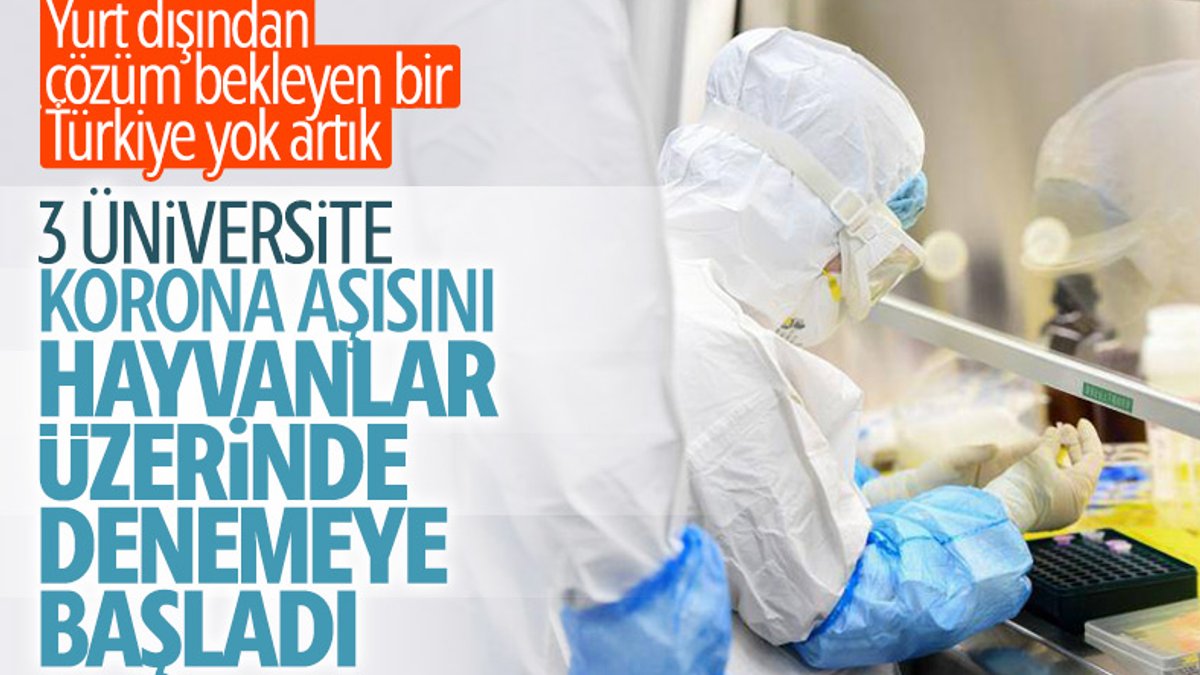 Türkiye'de korona aşısı için hayvan deneyleri başladı