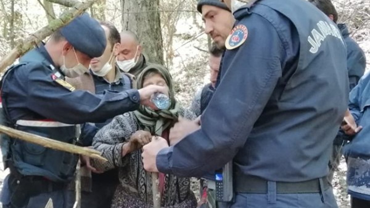 Bolu'da kaybolan alzaymır hastası kadını jandarma buldu