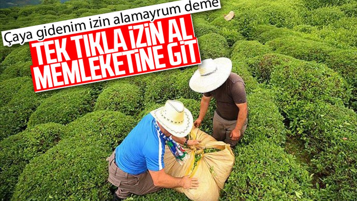 İçişleri Bakanlığı'dan çay üreticilerinin seyahat iznine ilişkin genelge