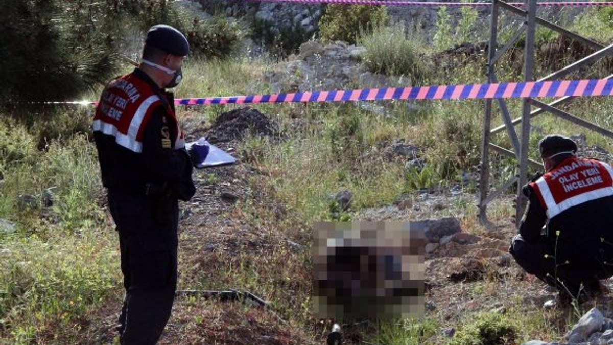 Muğla'da kablo hırsızı, akıma kapılarak can verdi