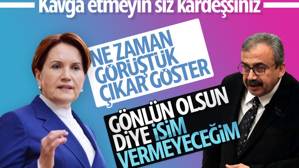 Sırrı Süreyya Önder'den İyi Parti'ye yanıt