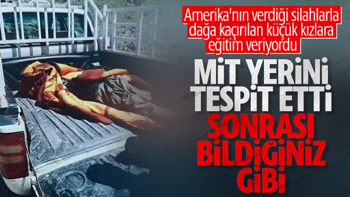 PKK'nın sözde üst düzey yöneticisi Galya Bekir öldürüldü