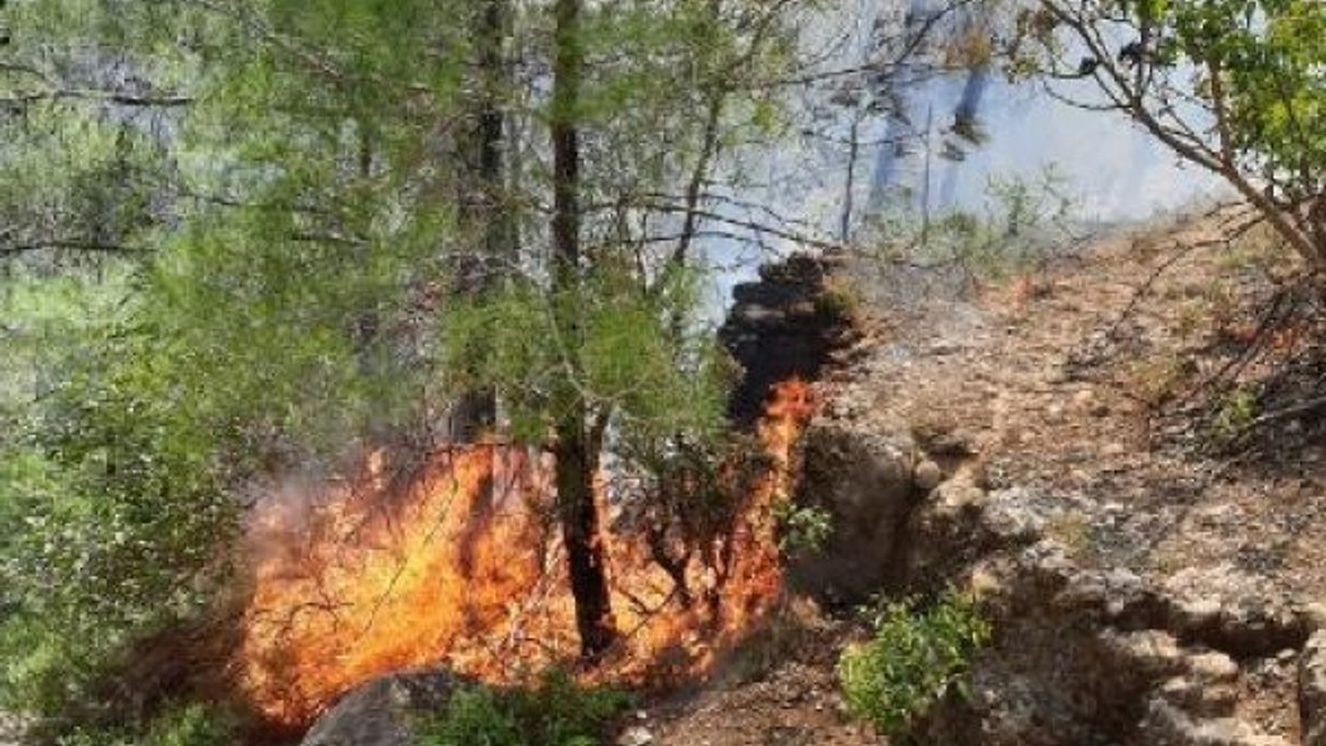 Antalya'daki ormanda yangın çıktı, 10 dönüm alan zarar gördü