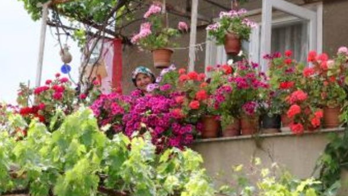 Edirne'de, evini çiçek bahçesine çevirdi