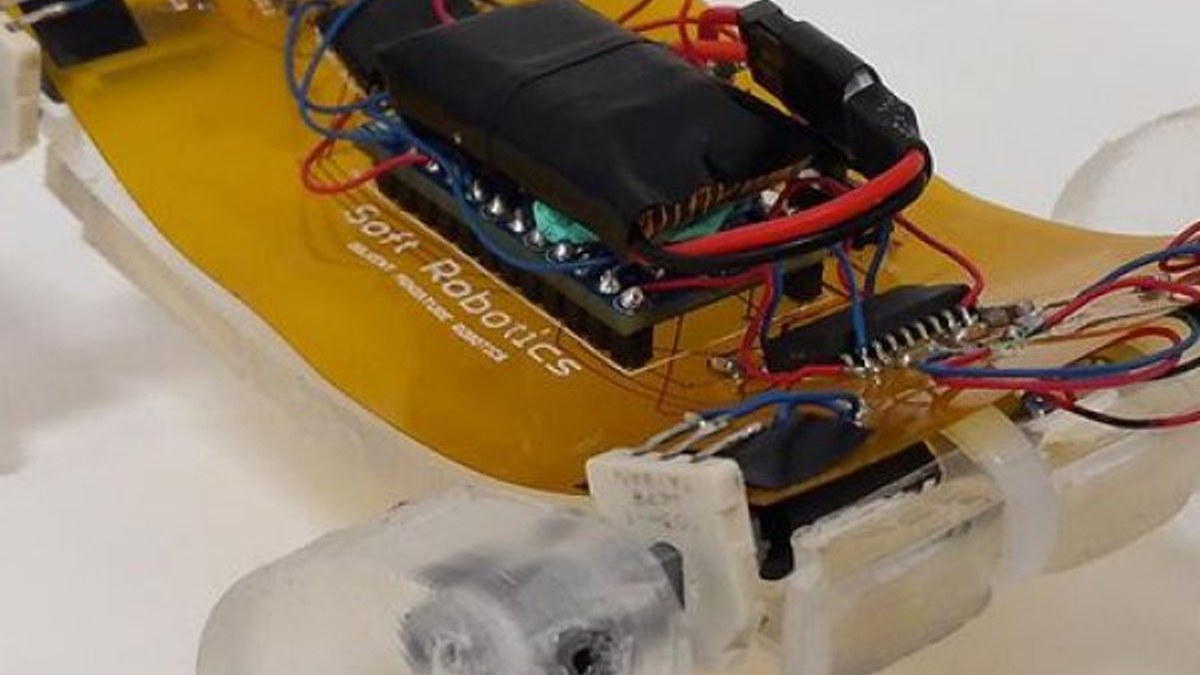 Göçük altında kalanlara ulaşabilecek minyatür robot