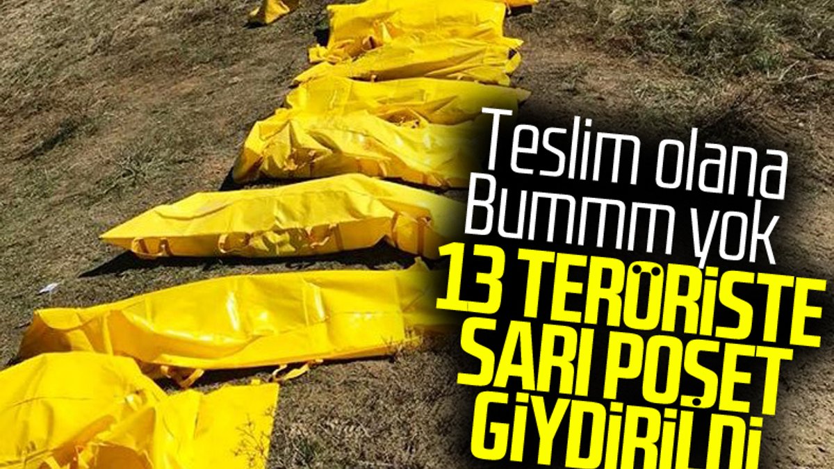 Haftanin, Zap, Hakurk ve Gara'da 13 terörist öldürüldü