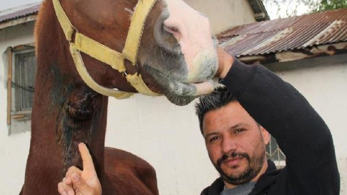 Erzincan'da cirit atının boğazını kestiler