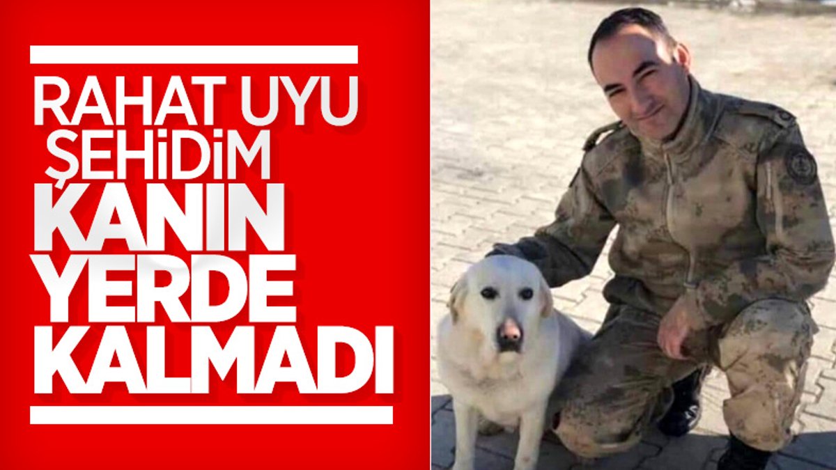 Zafer Akkuş'u şehit eden terörist öldürüldü