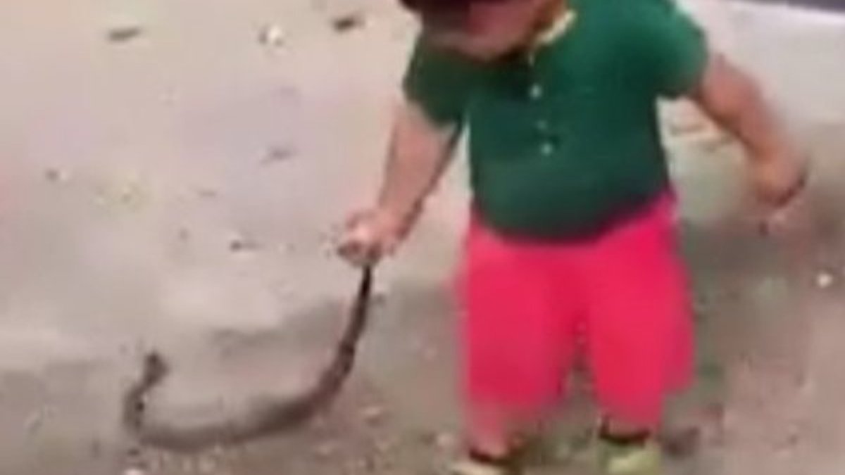Düzce'de 3 yaşındaki çocuk yılanla oynadı