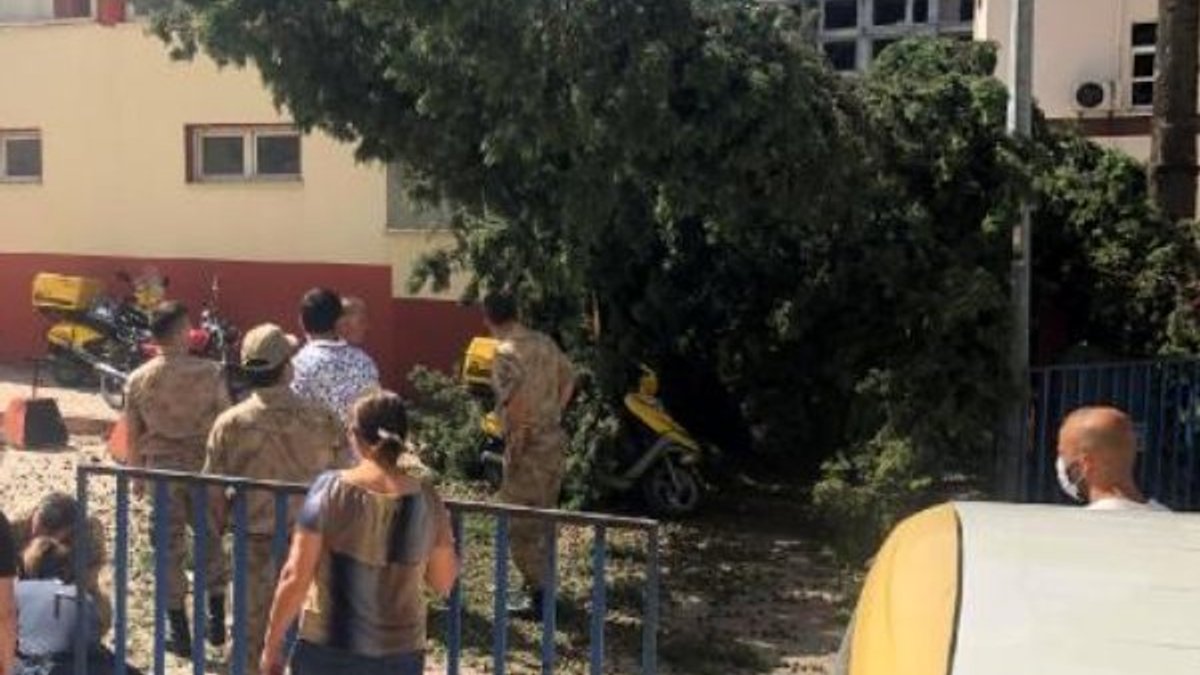 Osmaniye'de postacı, kesilen ağacın altında kaldı