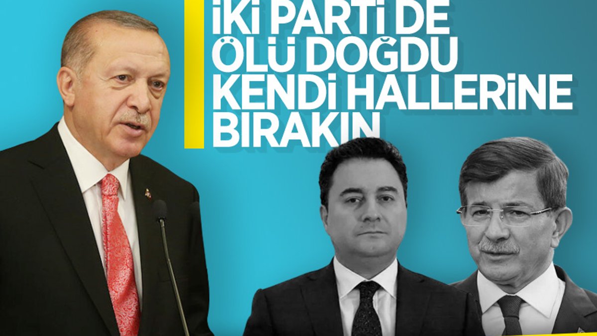 Cumhurbaşkanı Erdoğan'dan Babacan ve Davutoğlu yorumu