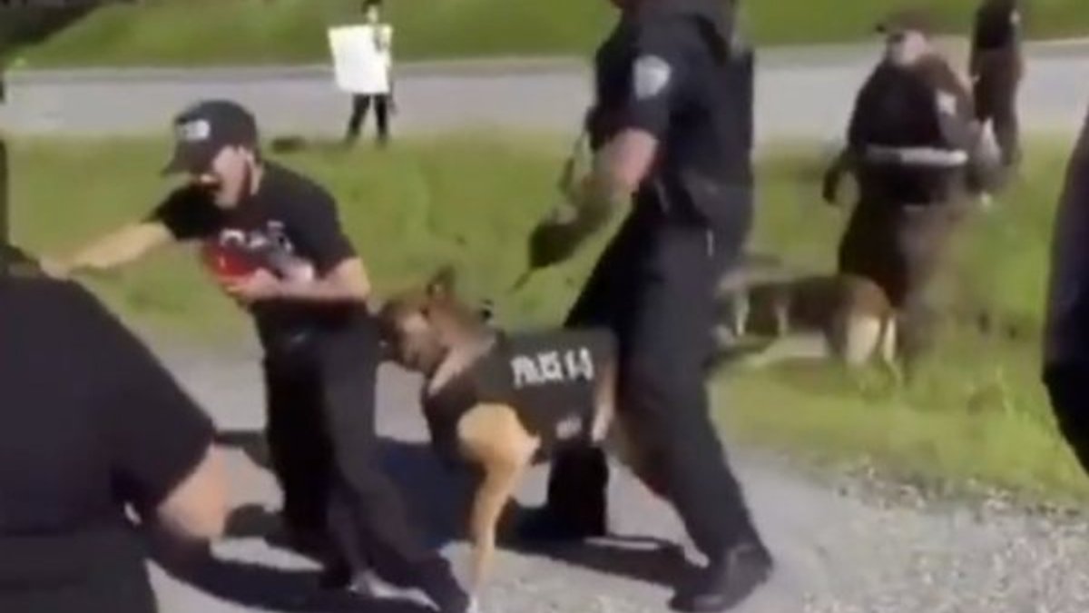 ABD'de polis köpeği, göstericiye saldırdı