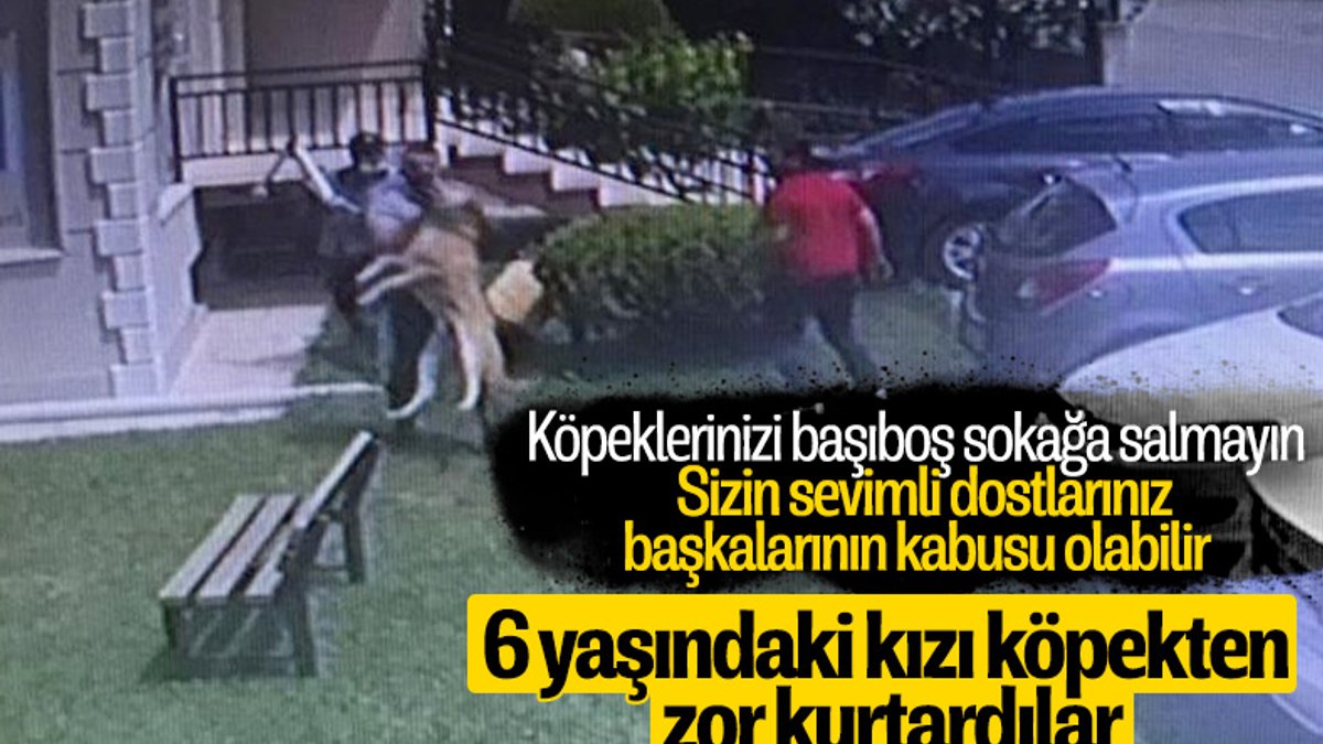 İzmir'de 6 yaşındaki çocuğa köpek saldırdı