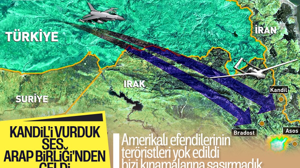 Arap Birliği, Türkiye'nin Kuzey Irak Operasyonu'nu kınadı