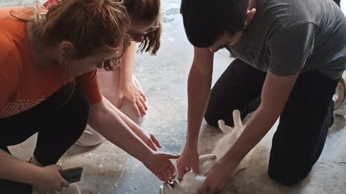 Düzce'de kediyi kurtarmak için kalp masajı yaptı