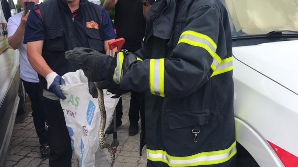 Nevşehir'de ambulansın tekerine yılan dolandı