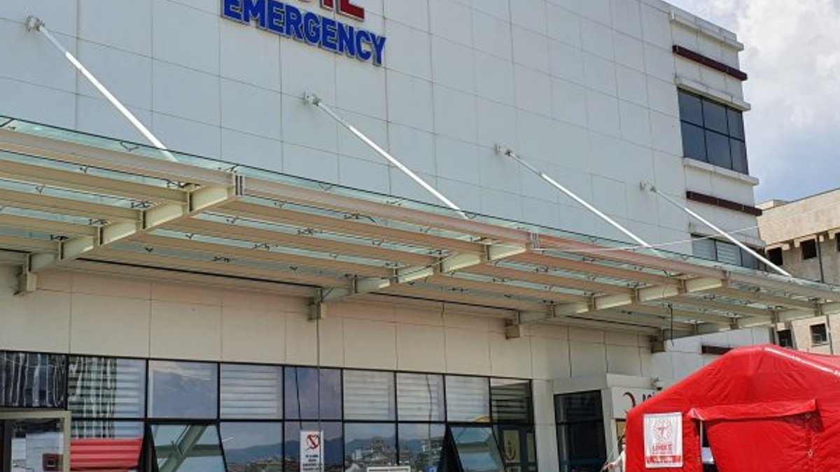 Kastamonu’da kenenin ısırdığı 7 kişi hastaneye kaldırıldı