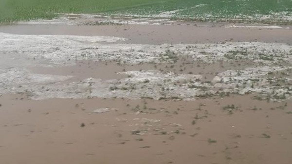 Tokat'ta dolu yağışı, tarım arazilerini mahvetti