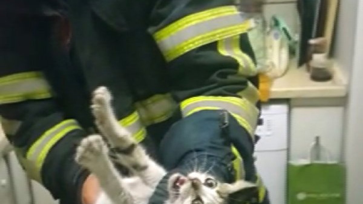 Hatay'da aspiratöre sıkışan kediyi itfaiye kurtardı