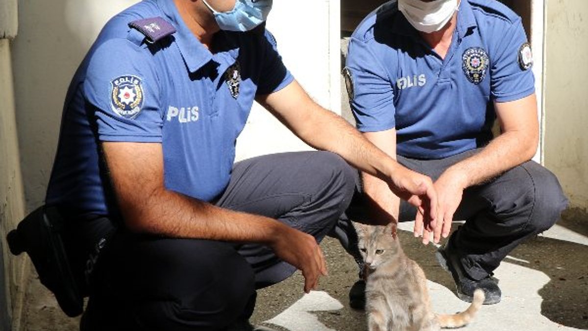 Erzincan'da karakolda doğuran kediye, polis sahip çıktı