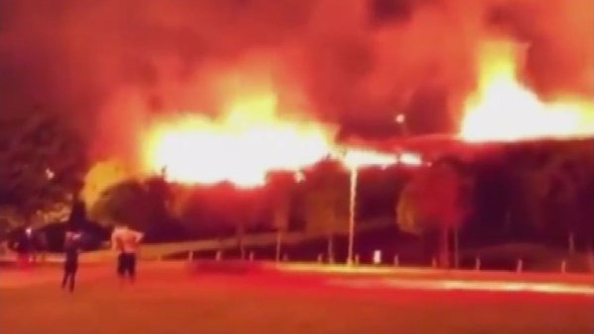 İzmir'de otluk alanda çıkan yangın paniğe yol açtı
