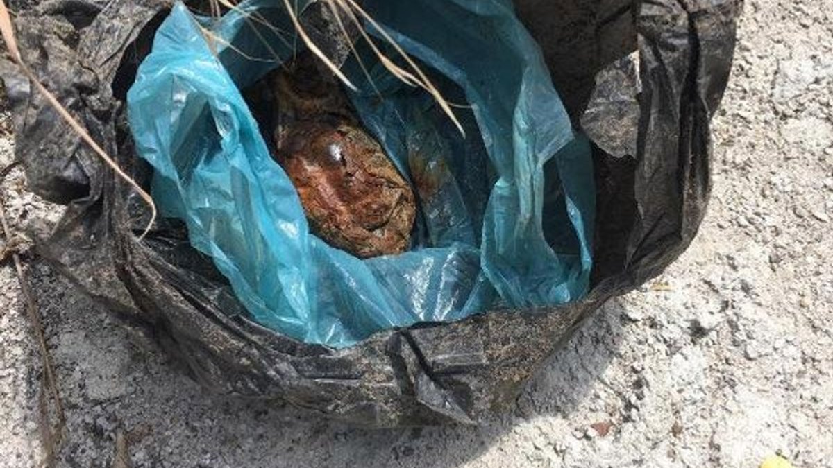 Tokat'ta fide dikmek istediği bahçesinde el bombası buldu
