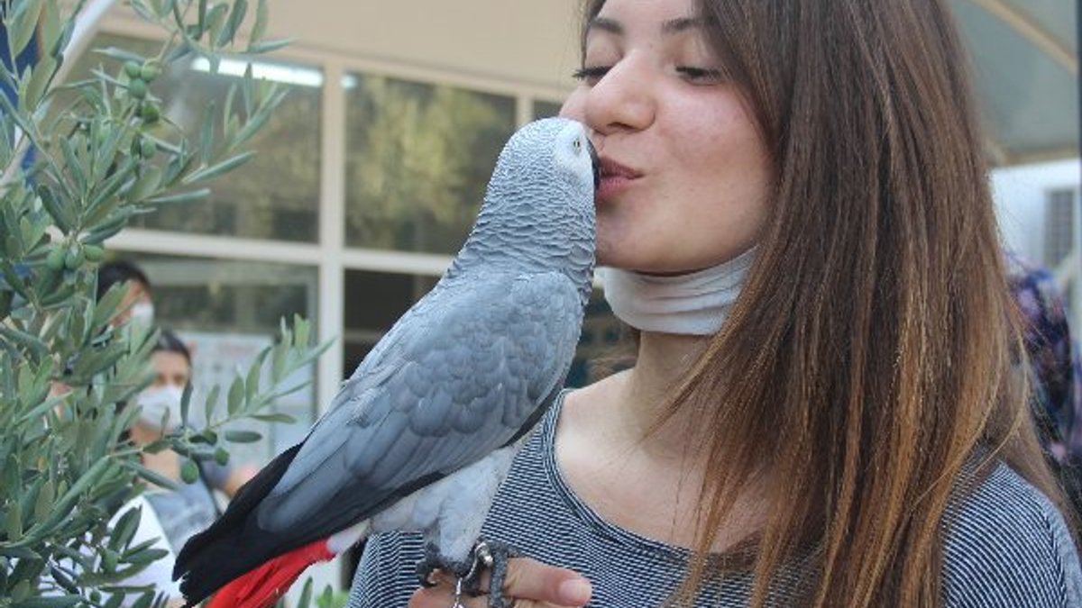 İzmir'de sınava papağanı Paşa ile geldi