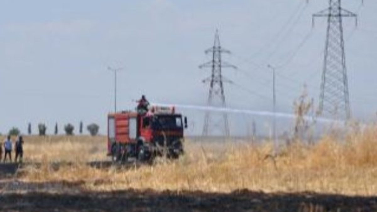Diyarbakır'da 35 dönümlük arazi yangında kül oldu